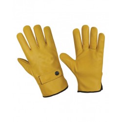 Driver Gloves