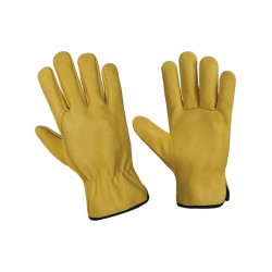 Driver Gloves